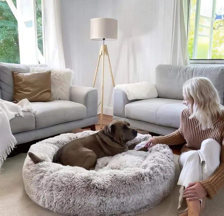 Calming Donut Cat Bed — Round Plush Bed for Cats & Small Dogs