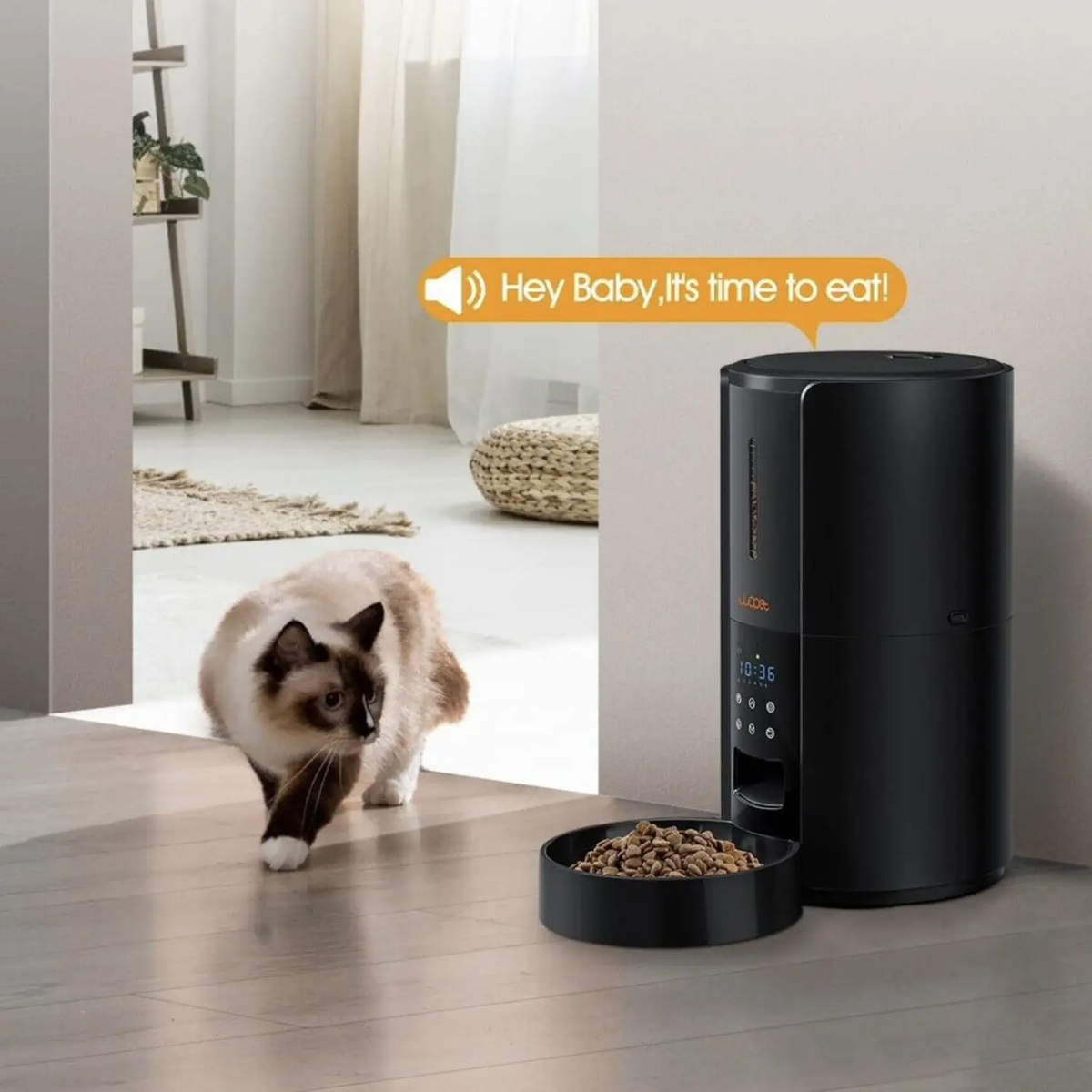 Automatic Pet Feeder — Programmable Food Dispenser for Dogs & Cats
