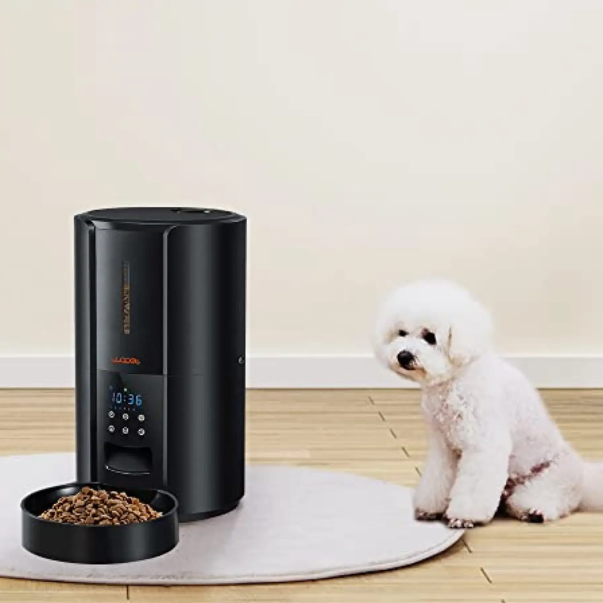 Automatic Pet Feeder — Programmable Food Dispenser for Dogs & Cats