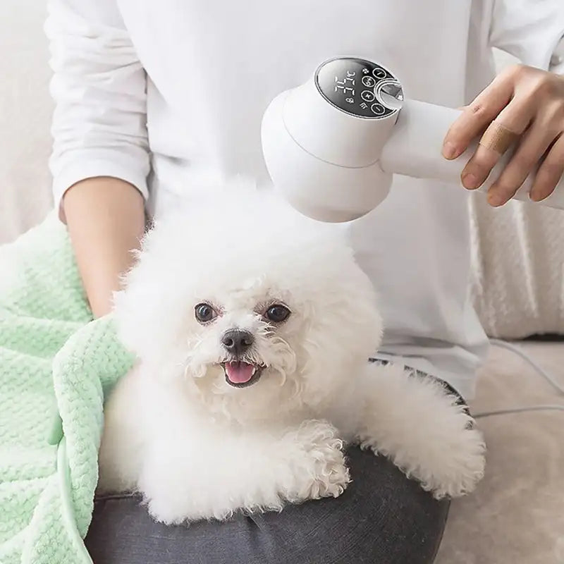 Ionic Pet Grooming Dryer — Fast-Drying Brush for Dogs & Cats