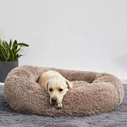 Calming Donut Cat Bed — Round Plush Bed for Cats & Small Dogs